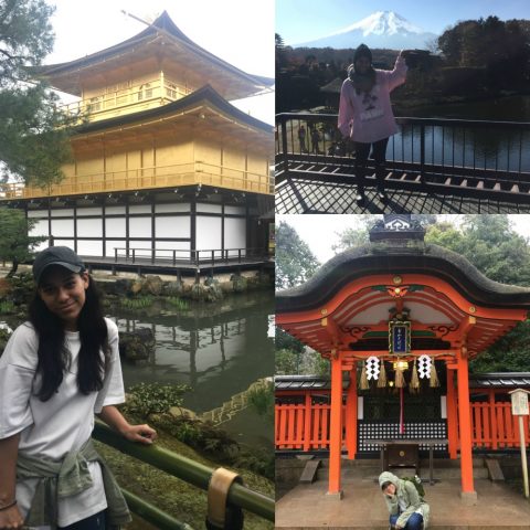 Jacqueline standing before the Golden Pavillion, Mount Fuji, and a red shrine in Japan.