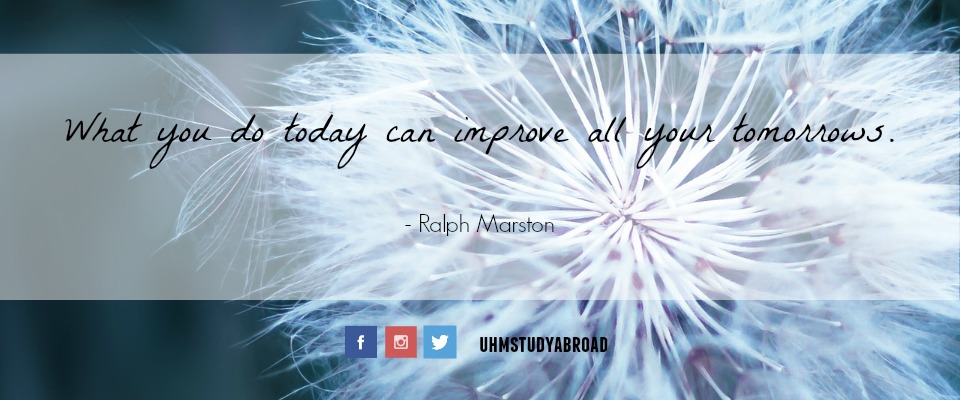 Image of a red-seeded dandelion with a quote by Ralph Marston: What you do today can improve all your tomorrows.